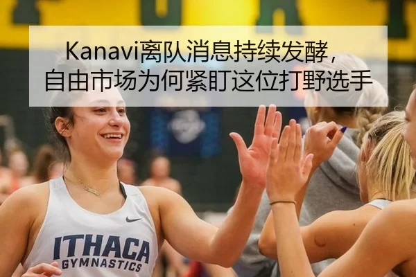 Kanavi离队消息持续发酵，自由市场为何紧盯这位打野选手